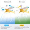 Little Helicopter Dream RC Fan Ceiling Lamp